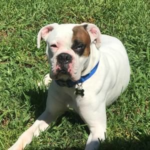 Meet your Posher, Terrie